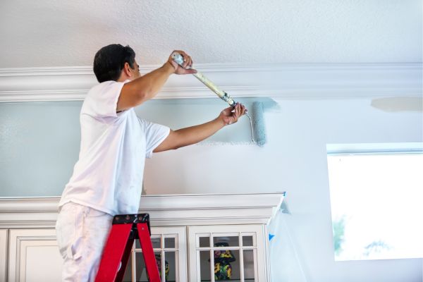 san antonio interior painting companies selma cibolo live oak converse schertz