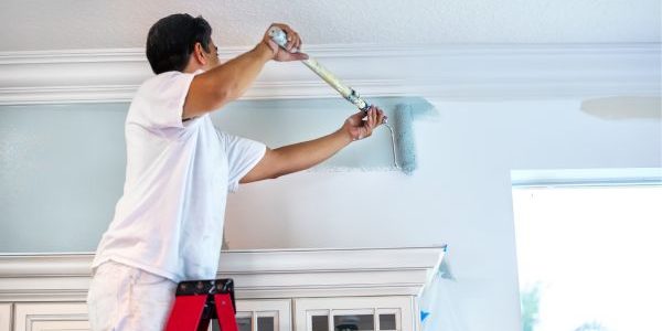 san antonio interior painting companies selma cibolo live oak converse schertz